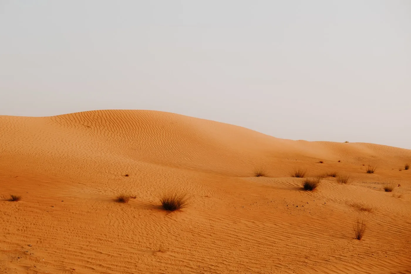Golden sand dunes representing a Dubai desert experience